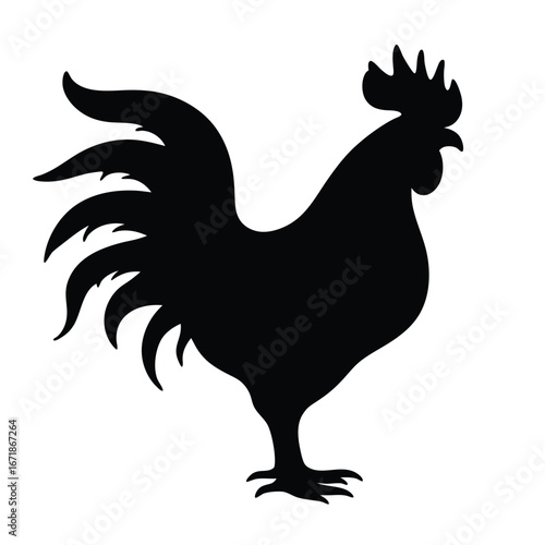 Black silhouette of a rooster on white background bird 1