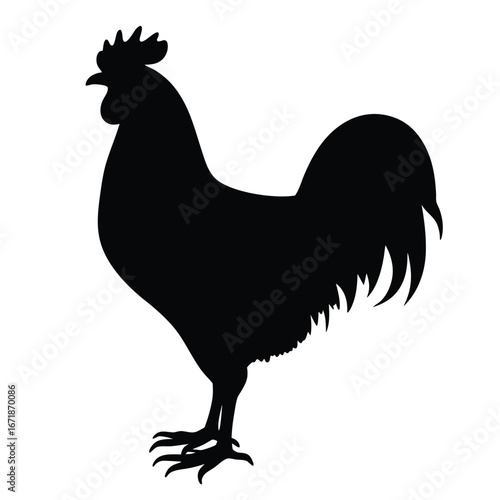 Black silhouette of a rooster standing on white background 1