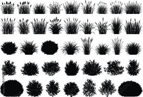 Collection of various grass and bush silhouettes, vector clipart, garden plants, natural foliage, landscaping elements, shrubbery shapes, ornamental greenery, outdoor vegetation, botanical designs