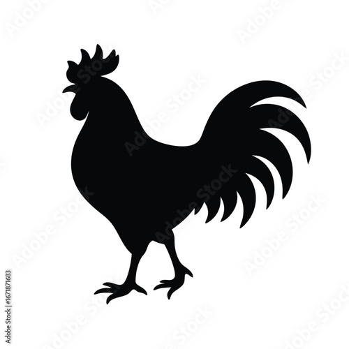 Black silhouette of a rooster standing on white background 11