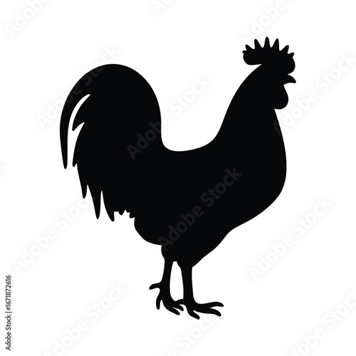 Black silhouette of a rooster standing white background 4