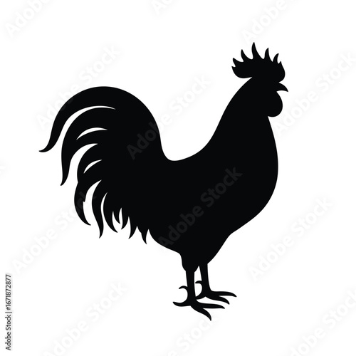 Black silhouette of a rooster standing white background