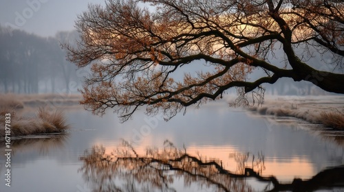 Misty sunrise over a frozen river with a large, bare tree