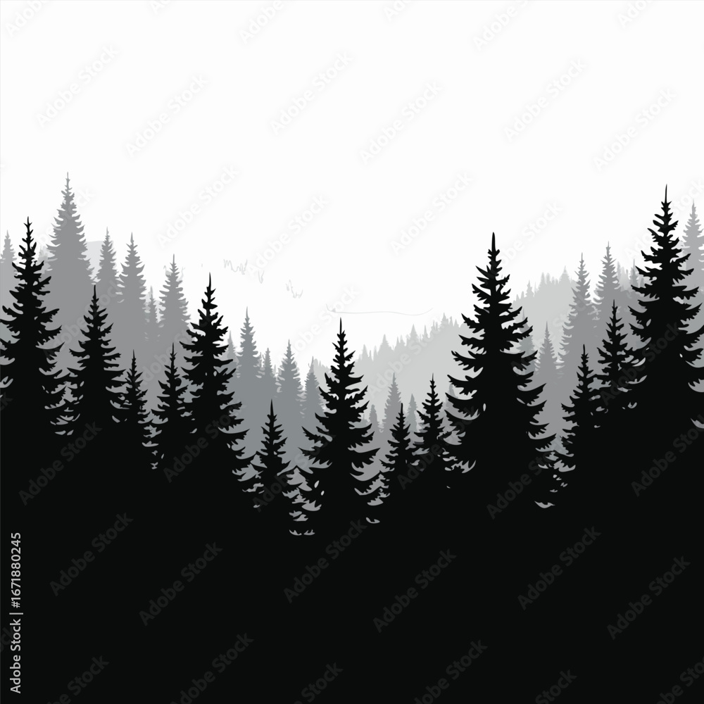 Obraz premium Dark evergreen forest silhouette against a bright sky
