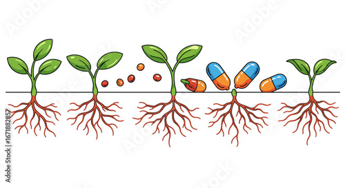 Growth process of plants and capsules integration in nature