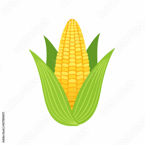 Golden Kernel Delight: A vibrant illustration of a fresh ear of corn, with its rich yellow kernels nestled within bright green husks and leaves. Capturing the essence of harvest.