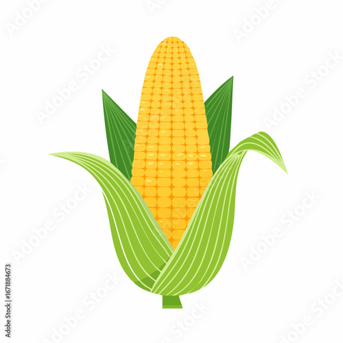 Fresh Corn Cob Delight: A vibrant and enticing illustration of a fresh corn cob, showcasing the golden kernels and verdant leaves. This image evokes a sense of freshness and natural goodness.