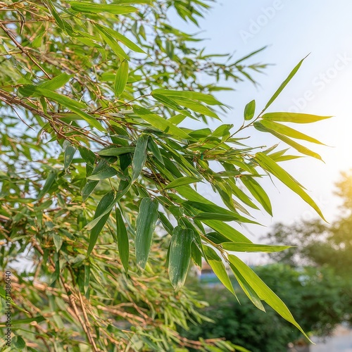 Beautiful tree with abundant leaves on a sunny day in a lush environment creating a peaceful natural scene