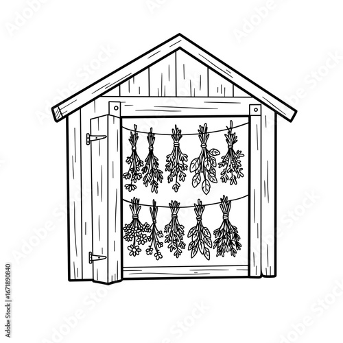 Hanging herbs drying in wooden shed for culinary use  