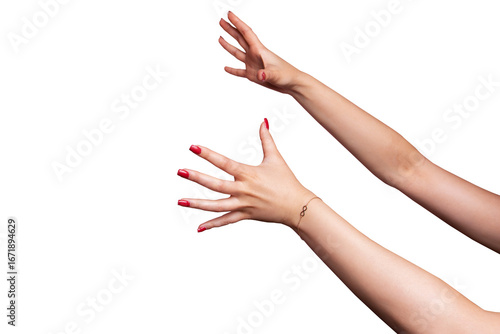 Young woman's hand reaching out and grabbing isolated transparent
