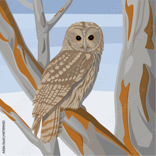 Majestic Great Grey Owl Perched on Winter Branch, Wildlife Illustration