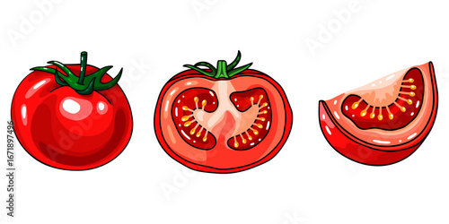 Fresh tomato whole and sliced illustration
