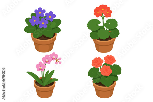 Isometric plant icon set. Flowering potted plants collection with African violet, geranium, orchid, begonia. Vector houseplant illustration for garden or home decor concept.