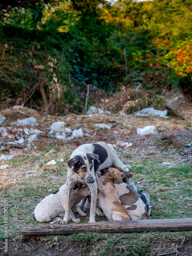 A Mother's Love Amidst the Rubble