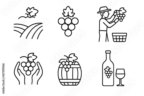Grape Harvest Outline Icon Set, Vineyard Vineyard Grapes, Fruit Picking, Wine Making Icons, Wine Barrel, Wine Bottle and Glass Vector Collection, Transparent Background, Line Art