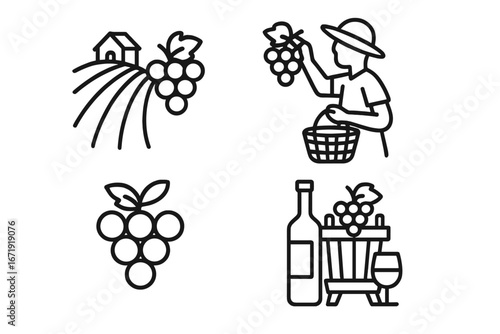 Grape Harvest Icon Set, Vineyard Fruit Picking and Wine Making Outline Collection, Cartoon Vector Illustration with Transparent Background, Agricultural and Winery Elements