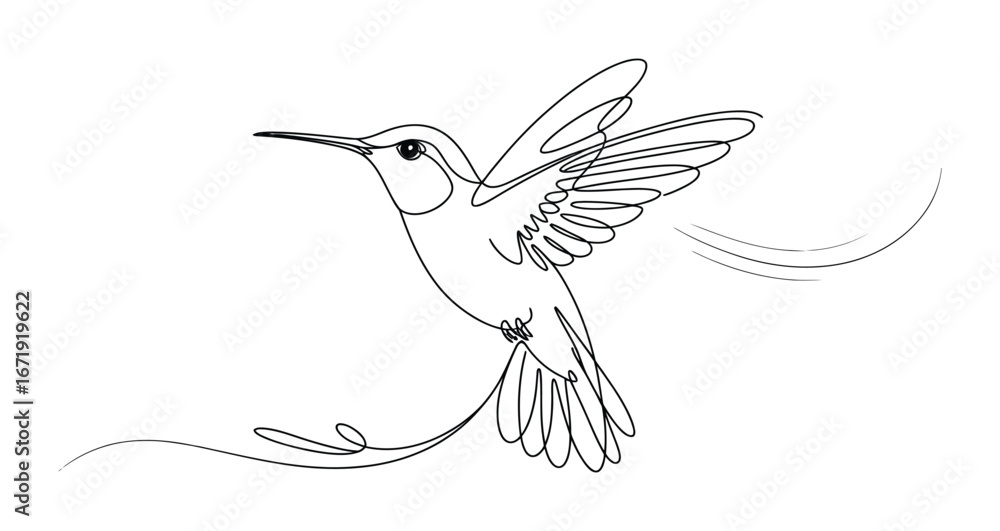 Fototapeta premium Minimalist line drawing of a hummingbird in flight with decorative swirls, symbolizing elegance, motion, freedom, and artistic expression