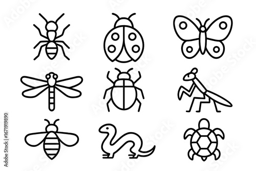 Geometric Insect and Reptile Outline Icon Set, Vector Cartoon Animal Icons for Nature and Wildlife Projects, Minimalist Transparent Background Design, Ordered Series