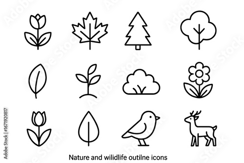 Nature and Wildlife Outline Icon Set with Floral, Leaf, Forest Elements in Line Art Style. Vector Cartoon Illustration, Transparent Background, Ordered Set 3, Botanical and Animal Symbols