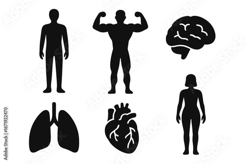 Human anatomy black silhouette icon set. Medical vector collection with male and female body, muscles, internal organs. Health care symbols like brain, heart, and lungs.