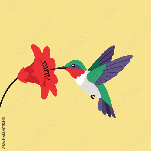 Hummingbird Drinking Nectar From a Flower, in Nature
