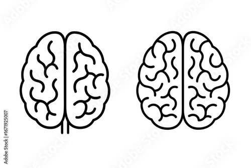 Minimalist human brain line drawings showing left and right hemispheres, simple vector illustration, transparent background, brain anatomy, cerebral cortex, neuroscience concept, educational design
