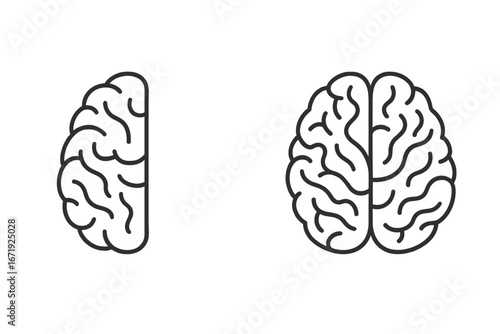 Simple minimalist line drawings of human brain hemispheres, left and right brain illustration, cartoon style vector art, transparent background, educational and mental health concept