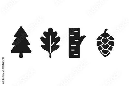 Solid filled tree species identification icons set featuring pine tree, oak leaf, birch bark, and fir cone vector cartoon illustrations for nature and forestry design
