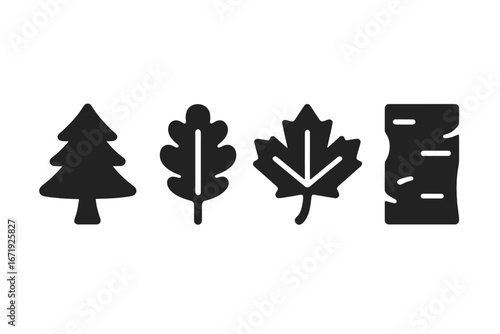 Tree species icons solid filled vector set for identification with pine tree, oak leaf, maple leaf, birch bark, and fir cone cartoon illustration design