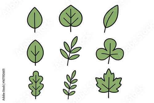 Various Minimalist Leaf Designs with Different Shapes and Styles for Graphic Design and Artistic Inspiration, Vector Cartoon Illustrations with Transparent Background