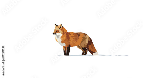 Fox Stands Alert on Snowscape