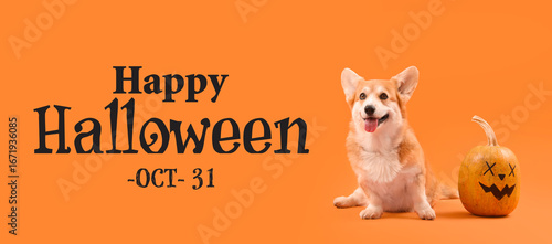 Cute Corgi dog with Hallowe...