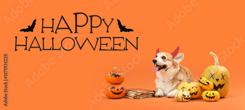 Cute Corgi dog in devil hor...
