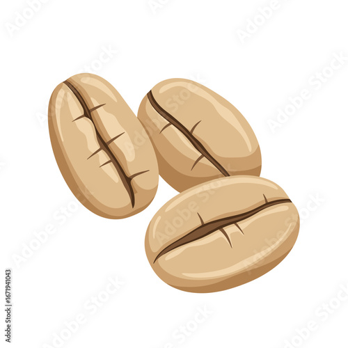 Illustrative image depicting a trio of unroasted green coffee beans showcasing their distinctive grooved surface detailed texture and organic bean shape