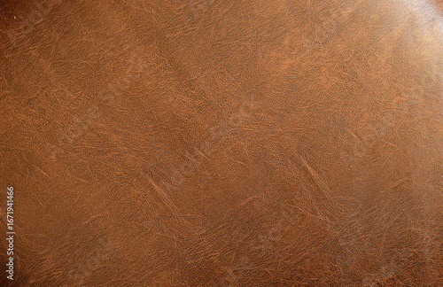 High-resolution image of br...