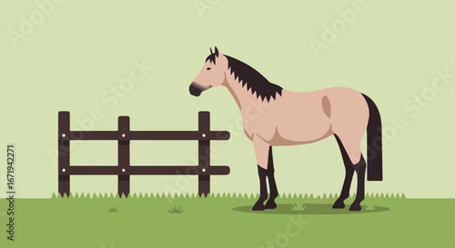 Horse Standing Near Fence in Grassy Field