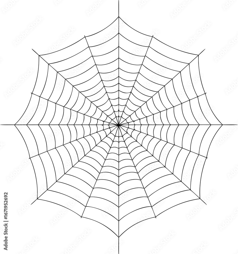 Obraz premium A clean, detailed spider web illustration, ideal for spooky backgrounds, haunted house decorations, and Halloween event graphics.