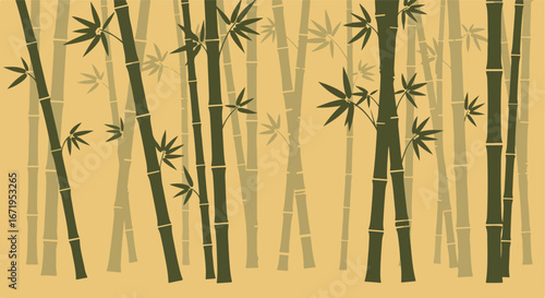 Bamboo Thickets Growing Tall in Forest