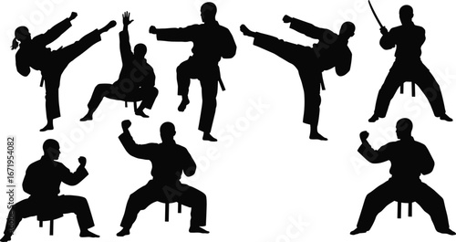 Martial arts silhouettes, karate and kendo poses, high kick illustration, sword fighting vector, combat stance sequence, sports training, self‑defense concept