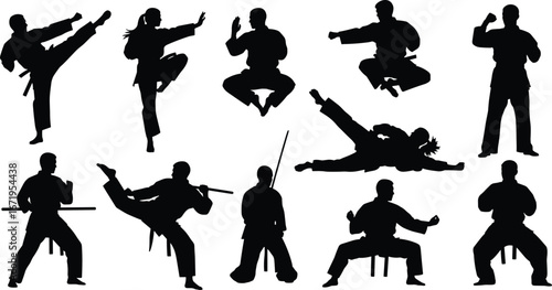 Martial arts silhouettes, karate and staff poses, high kick illustration, weapon training vector, combat stance sequence, sports discipline, self‑defense concept
