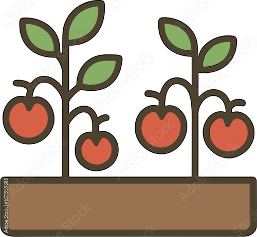Simple Outline Illustration Tomato Plant in Garden Bed Icon Style