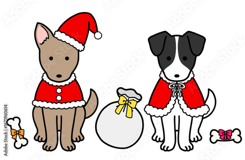 クリスマスコスチュームの犬・保護犬・雑種犬