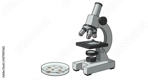 Detailed illustration of a grey compound microscope with multiple objective lenses and a clear petri dish containing brown organisms.