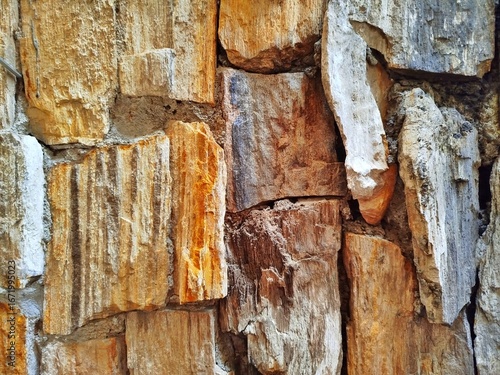A detailed, close-up shot of a rustic wall made from pieces of petrified wood. The unique texture and striking, earthy colors showcase the natural beauty of the fossilized timber.
