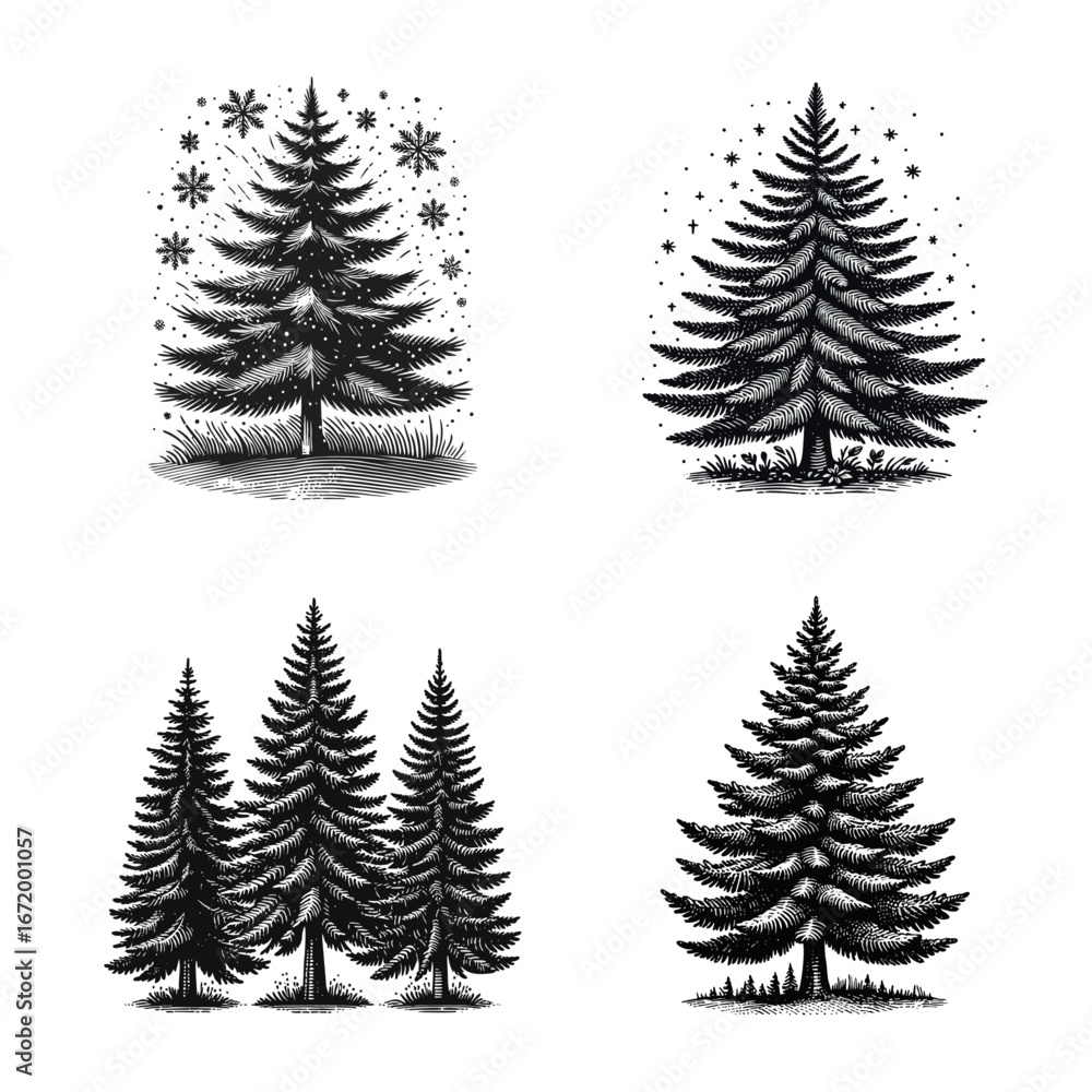 Fototapeta premium Set of Black and White Pine Tree Illustrations, Hand-Drawn Engraving Style Evergreen Trees with Snowflakes and Stars for Winter and Christmas Designs