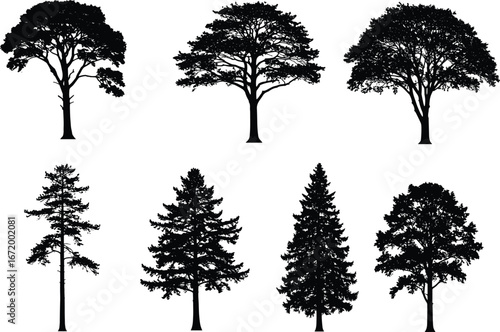 Silhouettes of various tree types in black isolated on white background, forest and nature design elements for graphic or artwork