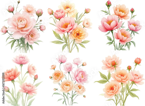 Vector art of a collection of six delicate watercolor floral arrangements featuring soft pink and peach peonies and roses, perfect for wedding invitations, greeting cards, and romantic designs