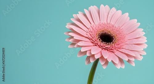 flor rosa simple sobre un fondo verde