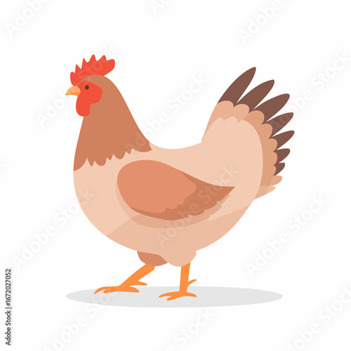 A light brown hen stands on a white background, showcasing its plumage and comb.