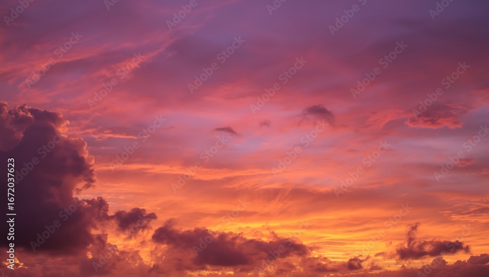 Fototapeta premium sunset in the forest